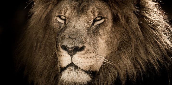 Los signos del zodiaco más orgullosos - horoscopo-cancer.com